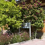 Ozlem Garden 3* 시데