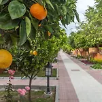 Ozlem Garden 시데