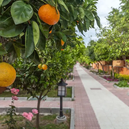 Ozlem Garden Σιντέ