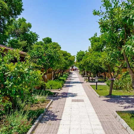 Ozlem Garden 3* سيدي