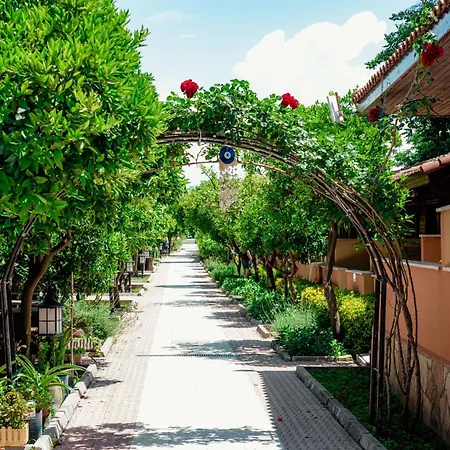 Ozlem Garden