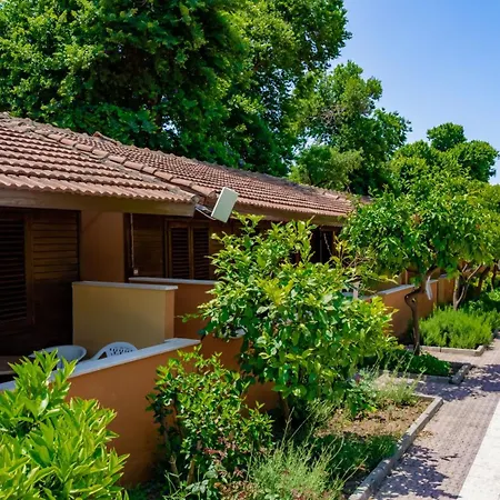 فندق Ozlem Garden 3*