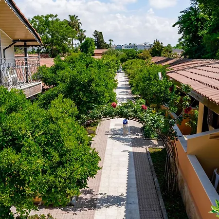 فندق Ozlem Garden