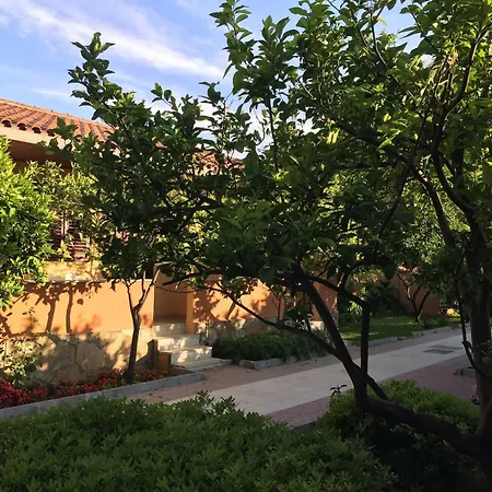 Ozlem Garden 3*