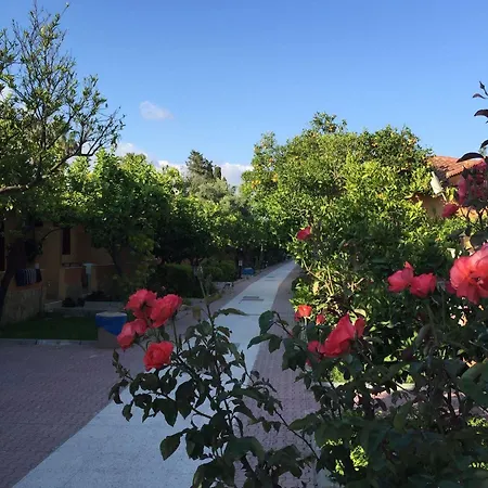 Ozlem Garden سيدي