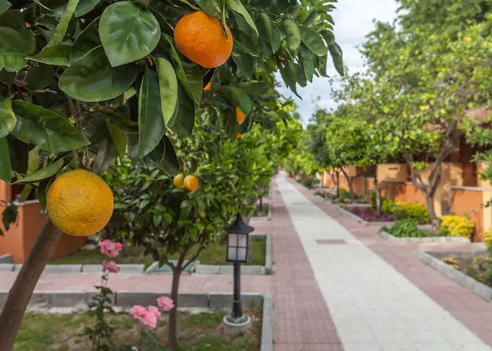 Ozlem Garden Σιντέ