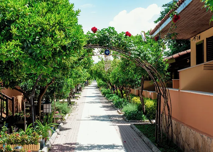 Ozlem Garden Ξενοδοχείο Σιντέ