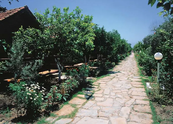 Ozlem Garden