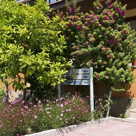 Ozlem Garden 3* Side