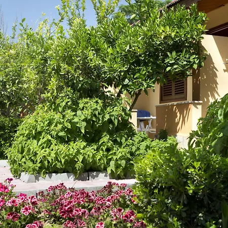 Hotel Ozlem Garden Side