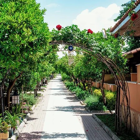 Ozlem Garden 호텔 시데