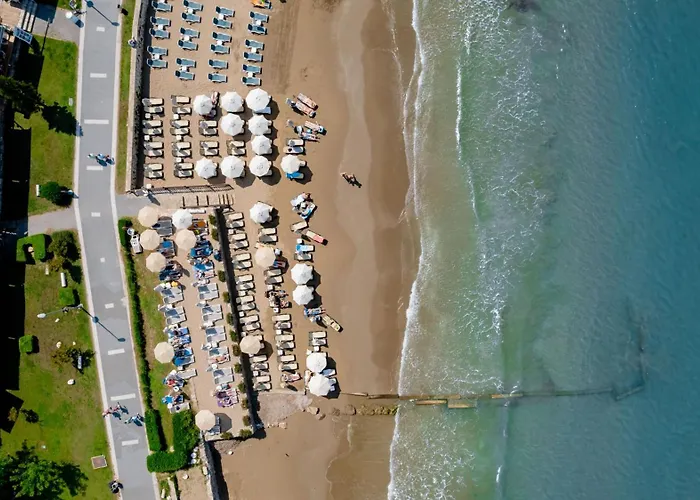 Ozlem Garden 3* シダ