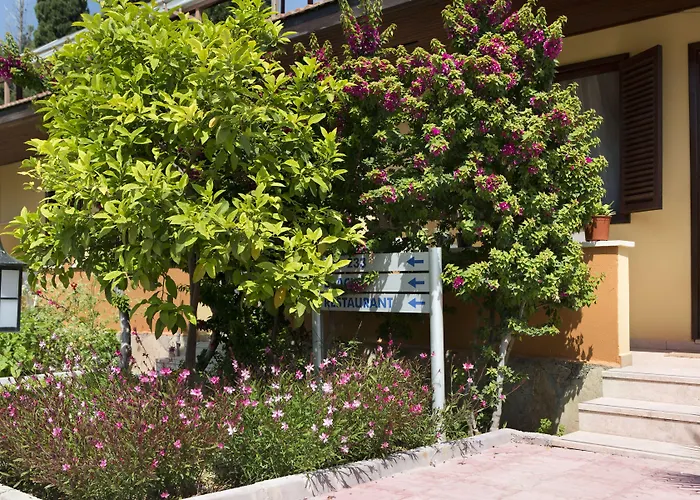 Ozlem Garden 3* Сиде