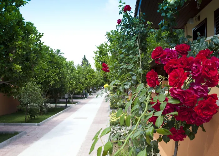 Отель Ozlem Garden