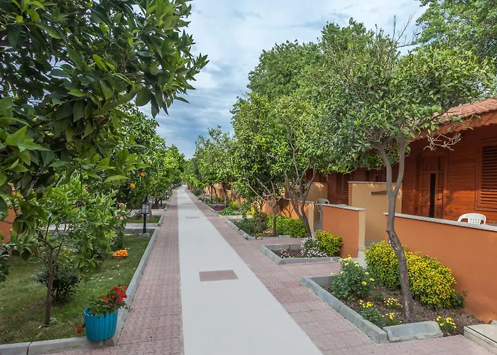 Отель Ozlem Garden Сиде