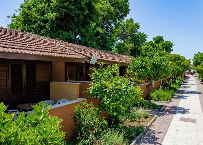 Отель Ozlem Garden 3*