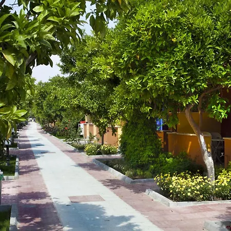 酒店 欧莱姆花园酒店 锡德