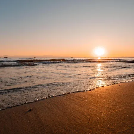 欧莱姆花园酒店 酒店 锡德