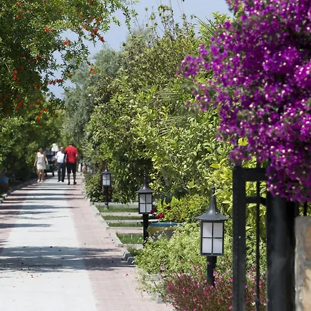欧莱姆花园酒店 锡德