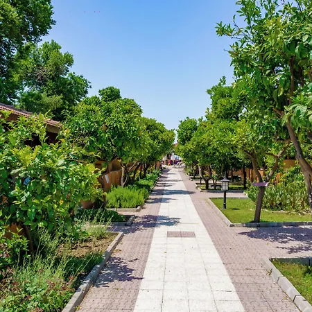 欧莱姆花园酒店 锡德