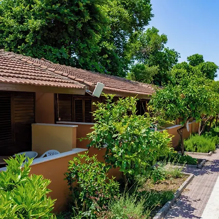 酒店 欧莱姆花园酒店 3*